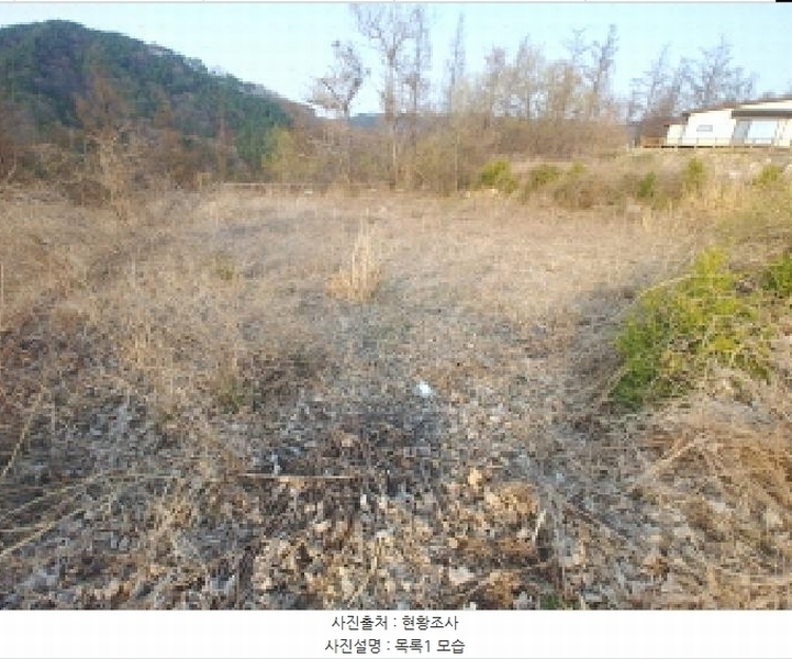 2025타경2453 충청남도 금산군 제원면 용화리 124-10 임야 경매 이미지