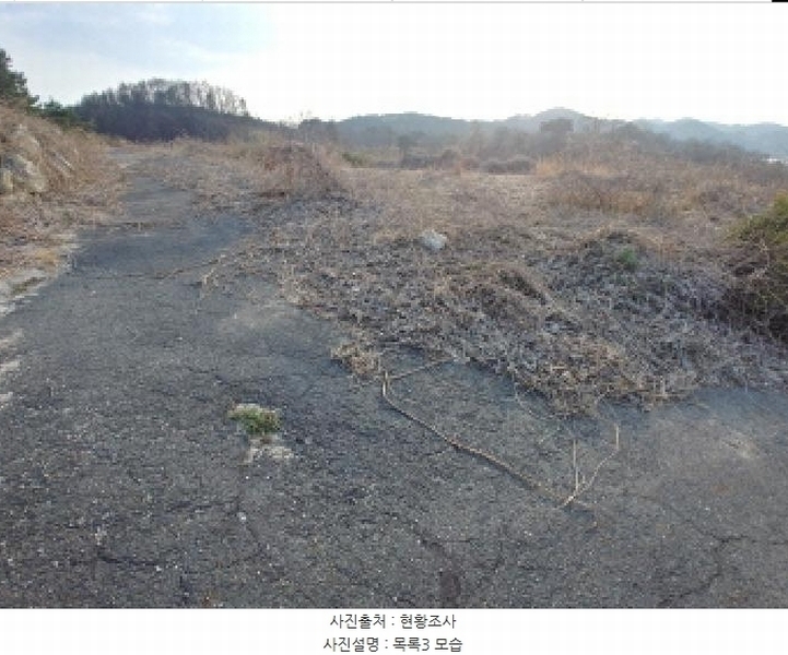 2025타경2453 충청남도 금산군 제원면 용화리 124-10 임야 경매 이미지