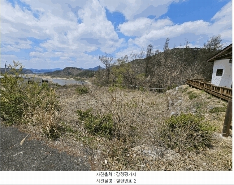 2025타경2453 충청남도 금산군 제원면 용화리 124-10 임야 경매 이미지