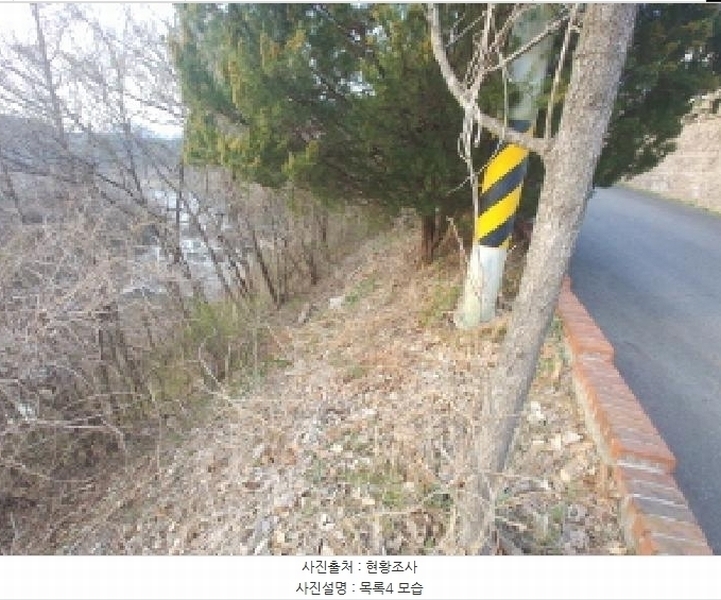 2025타경2453 충청남도 금산군 제원면 용화리 124-10 임야 경매 이미지
