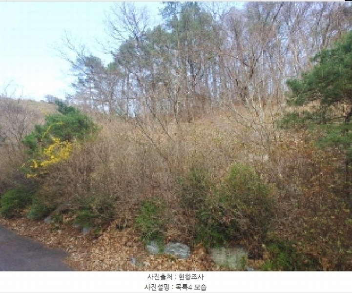 2025타경2453 충청남도 금산군 제원면 용화리 124-10 임야 경매 이미지