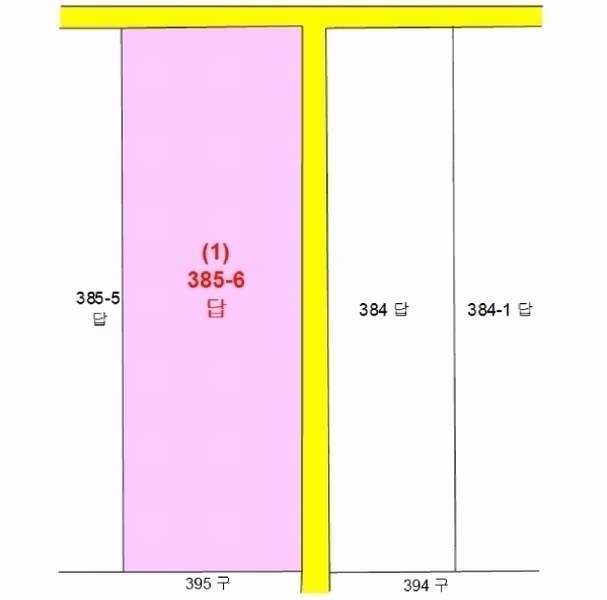 2025타경3463 세종특별자치시 전동면 보덕리 385-6 농지 경매 이미지