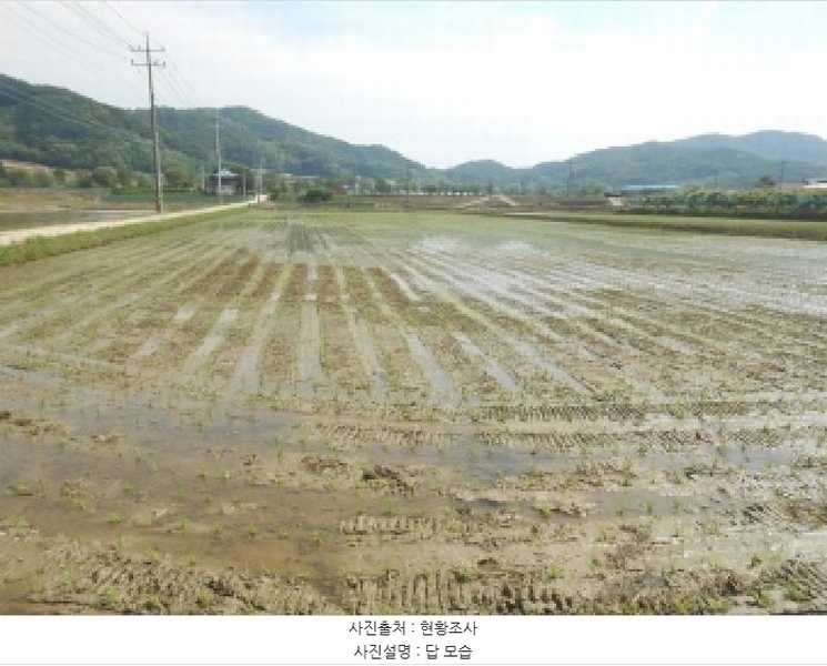 2025타경3463 세종특별자치시 전동면 보덕리 385-6 농지 경매 이미지