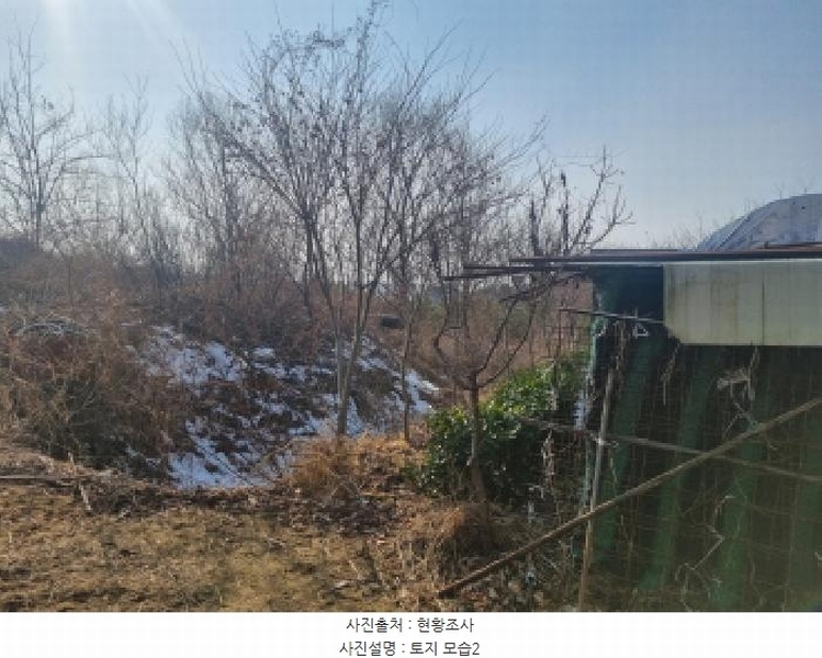 2025타경501622 세종특별자치시 연동면 내판리 1-33 임야 경매 이미지
