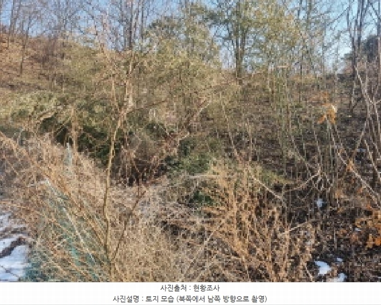 2025타경501622 세종특별자치시 연동면 내판리 1-33 임야 경매 이미지
