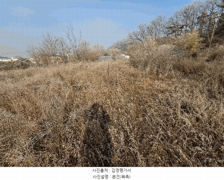 2025타경501622 세종특별자치시 연동면 내판리 1-33 임야 경매 이미지