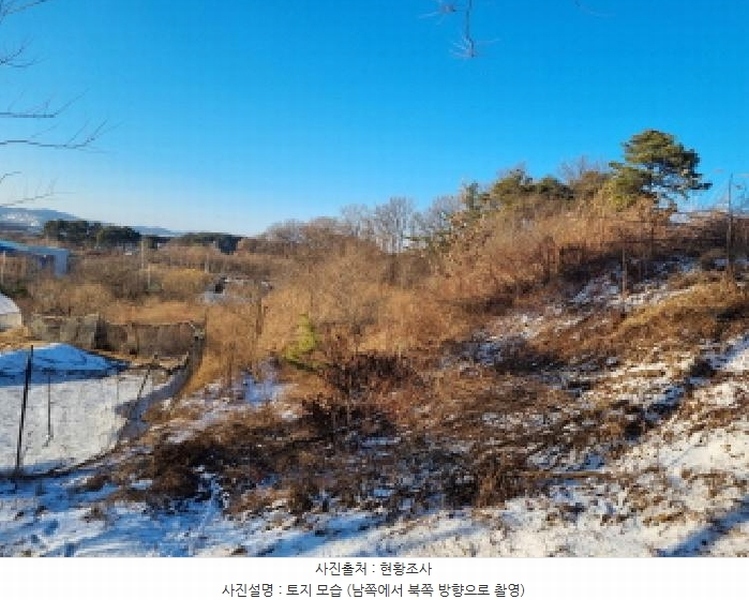 2025타경501622 세종특별자치시 연동면 내판리 1-33 임야 경매 이미지
