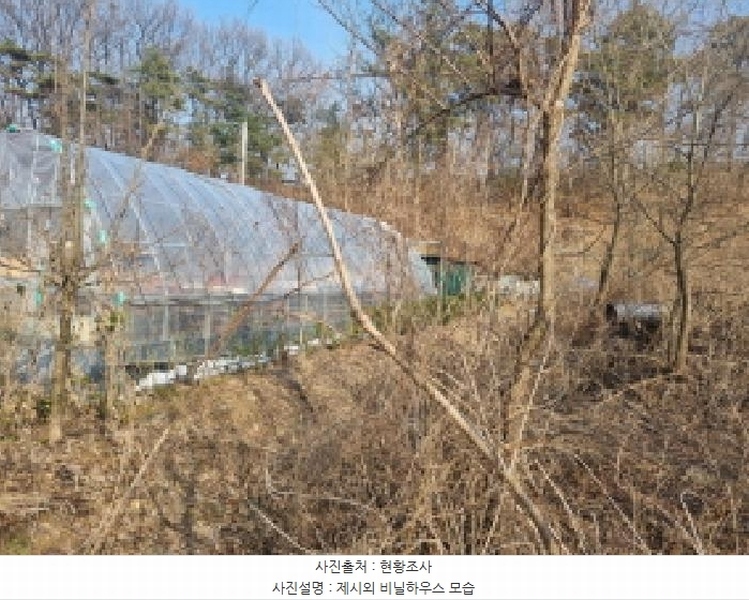 2025타경501622 세종특별자치시 연동면 내판리 1-33 임야 경매 이미지