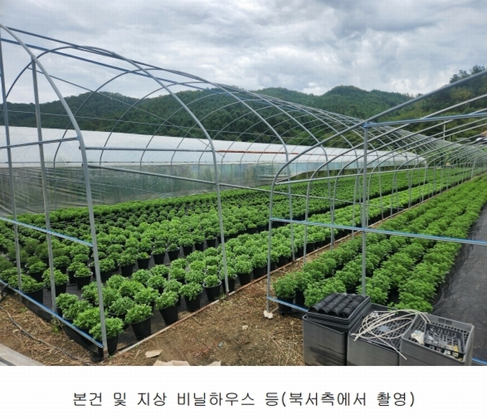 2025타경501895 충청남도 금산군 진산면 교촌리 173 농지 경매 이미지