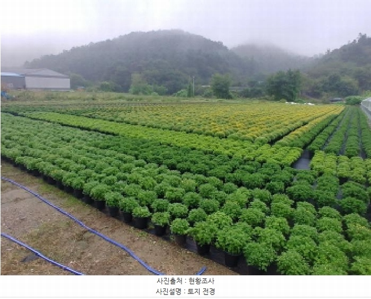 2025타경501895 충청남도 금산군 진산면 교촌리 173 농지 경매 이미지