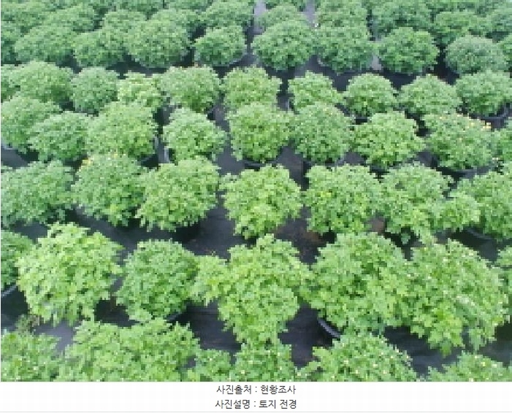 2025타경501895 충청남도 금산군 진산면 교촌리 173 농지 경매 이미지
