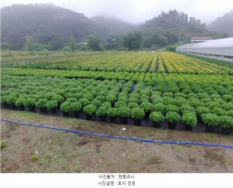 2025타경501895 충청남도 금산군 진산면 교촌리 173 농지 경매 이미지