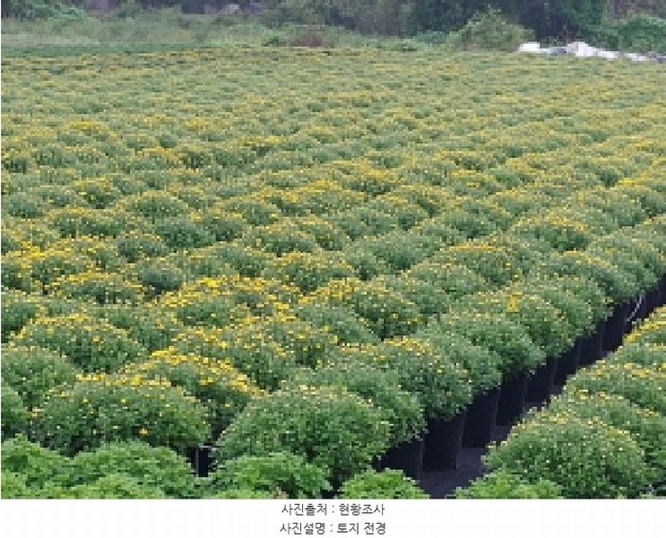 2025타경501895 충청남도 금산군 진산면 교촌리 173 농지 경매 이미지