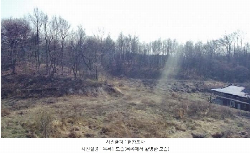 2025타경502006 세종특별자치시 부강면 산수리 216-4 임야 경매 이미지
