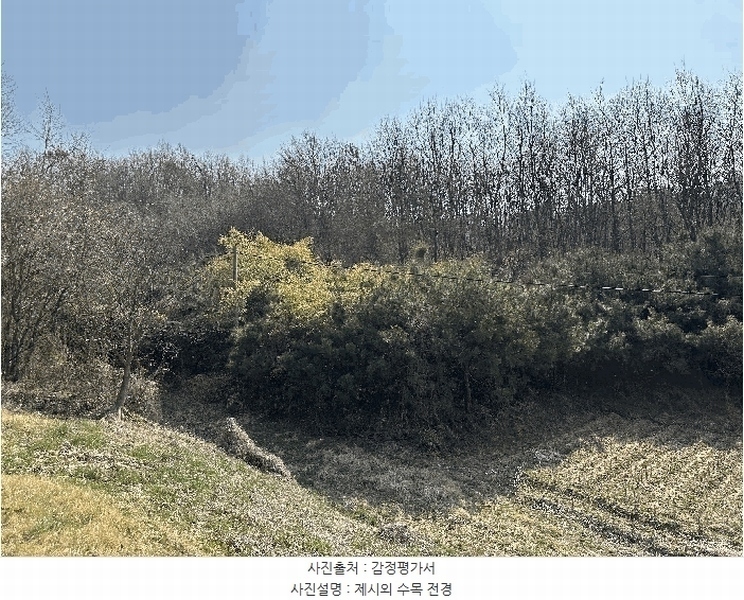 2025타경502006 세종특별자치시 부강면 산수리 216-4 임야 경매 이미지