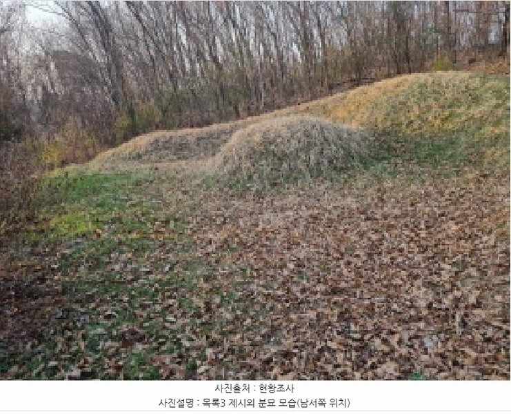 2025타경502006 세종특별자치시 부강면 산수리 216-4 임야 경매 이미지