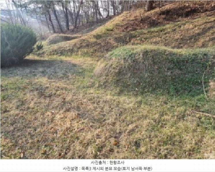 2025타경502006 세종특별자치시 부강면 산수리 216-4 임야 경매 이미지