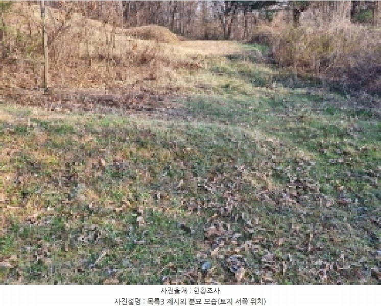 2025타경502006 세종특별자치시 부강면 산수리 216-4 임야 경매 이미지