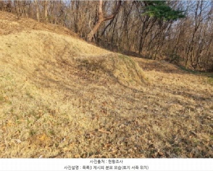 2025타경502006 세종특별자치시 부강면 산수리 216-4 임야 경매 이미지