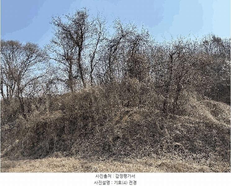 2025타경502006 세종특별자치시 부강면 산수리 216-4 임야 경매 이미지