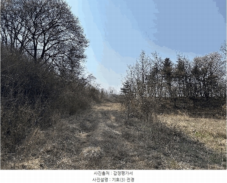 2025타경502006 세종특별자치시 부강면 산수리 216-4 임야 경매 이미지