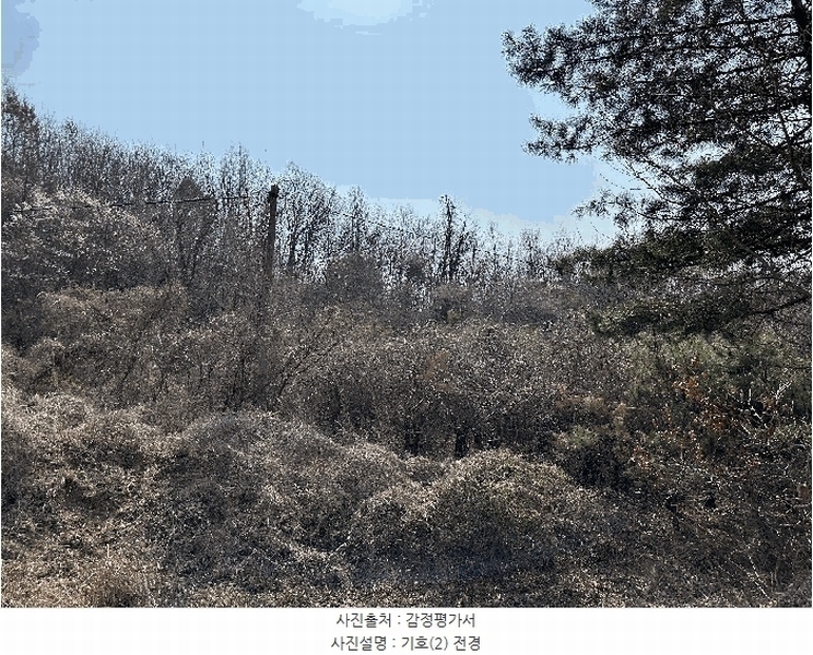 2025타경502006 세종특별자치시 부강면 산수리 216-4 임야 경매 이미지
