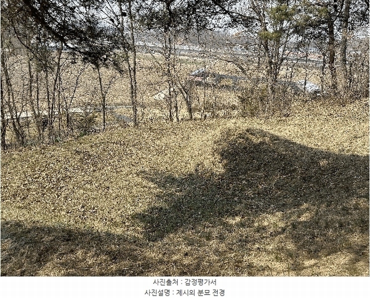 2025타경502006 세종특별자치시 부강면 산수리 216-4 임야 경매 이미지