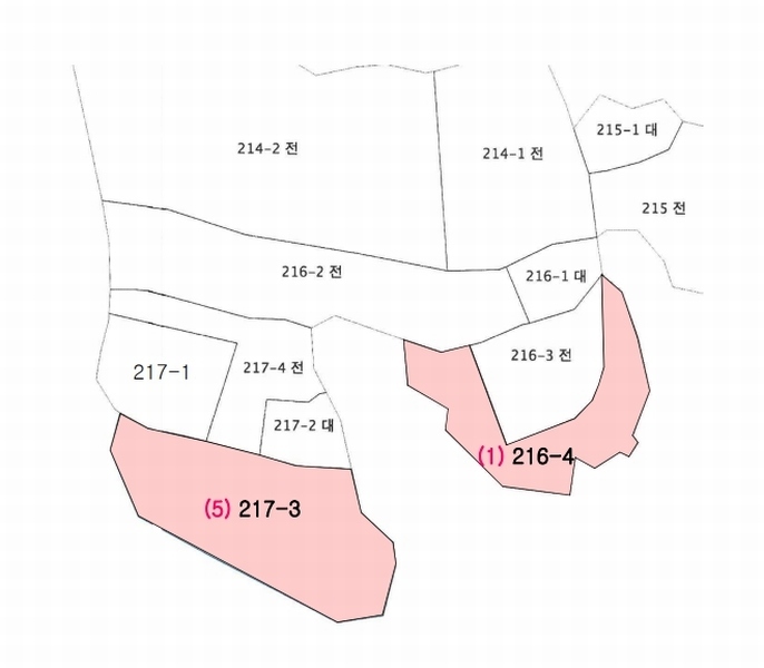 2025타경502006 세종특별자치시 부강면 산수리 216-4 임야 경매 이미지