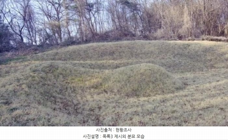2025타경502006 세종특별자치시 부강면 산수리 216-4 임야 경매 이미지
