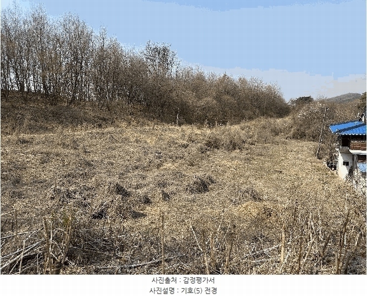 2025타경502006 세종특별자치시 부강면 산수리 216-4 임야 경매 이미지