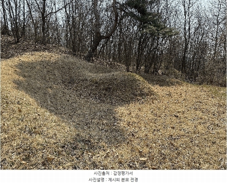 2025타경502006 세종특별자치시 부강면 산수리 216-4 임야 경매 이미지