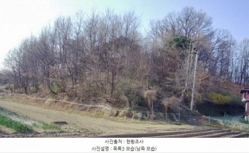 2025타경502006 세종특별자치시 부강면 산수리 216-4 임야 경매 이미지