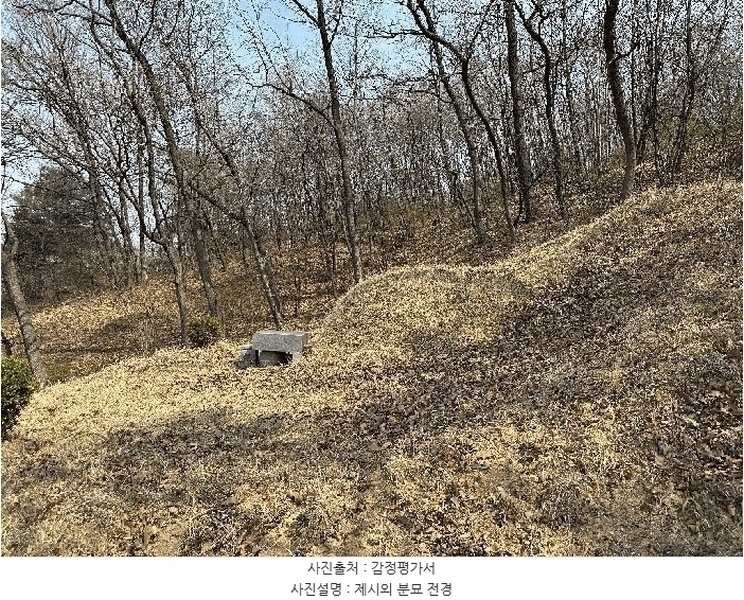 2025타경502006 세종특별자치시 부강면 산수리 216-4 임야 경매 이미지