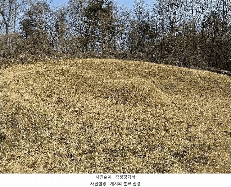 2025타경502006 세종특별자치시 부강면 산수리 216-4 임야 경매 이미지