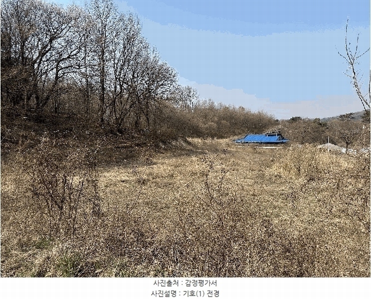 2025타경502006 세종특별자치시 부강면 산수리 216-4 임야 경매 이미지
