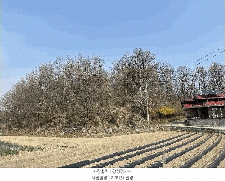 2025타경502006 세종특별자치시 부강면 산수리 216-4 임야 경매 이미지