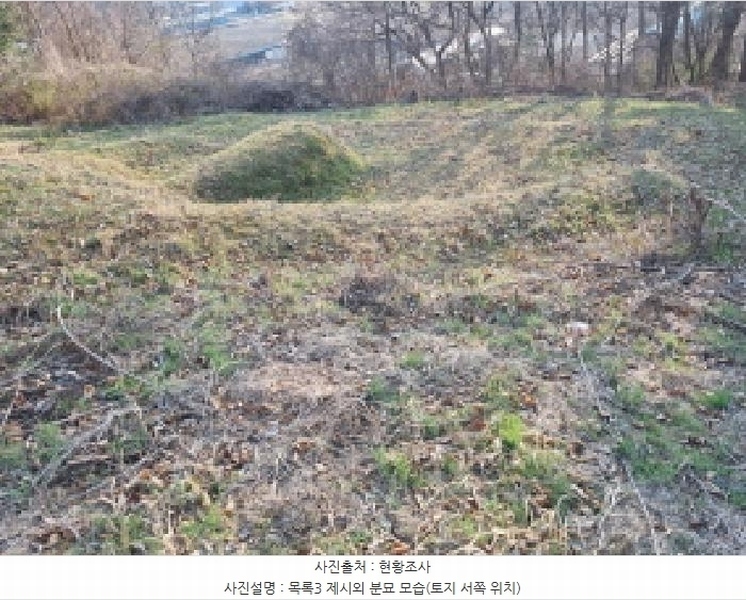 2025타경502006 세종특별자치시 부강면 산수리 216-4 임야 경매 이미지