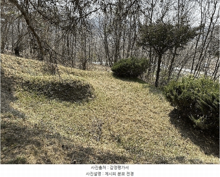2025타경502006 세종특별자치시 부강면 산수리 216-4 임야 경매 이미지