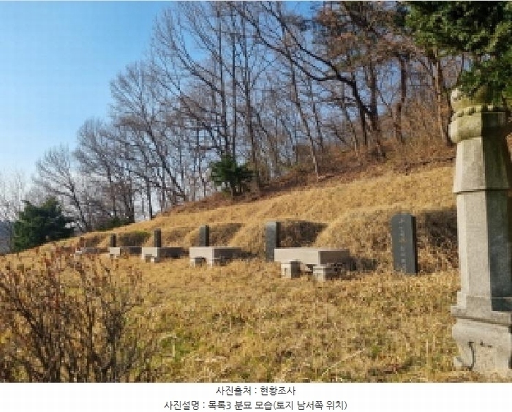 2025타경502006 세종특별자치시 부강면 산수리 216-4 임야 경매 이미지