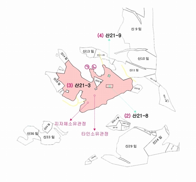 2025타경502006 세종특별자치시 부강면 산수리 216-4 임야 경매 이미지
