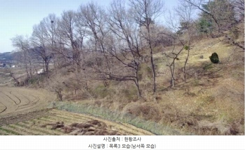 2025타경502006 세종특별자치시 부강면 산수리 216-4 임야 경매 이미지