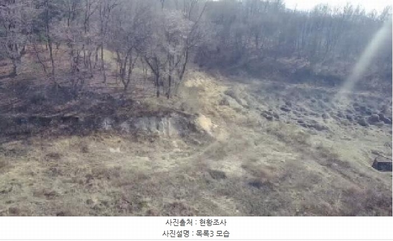 2025타경502006 세종특별자치시 부강면 산수리 216-4 임야 경매 이미지