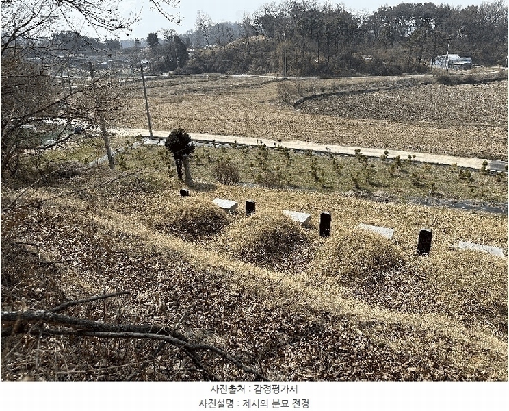 2025타경502006 세종특별자치시 부강면 산수리 216-4 임야 경매 이미지