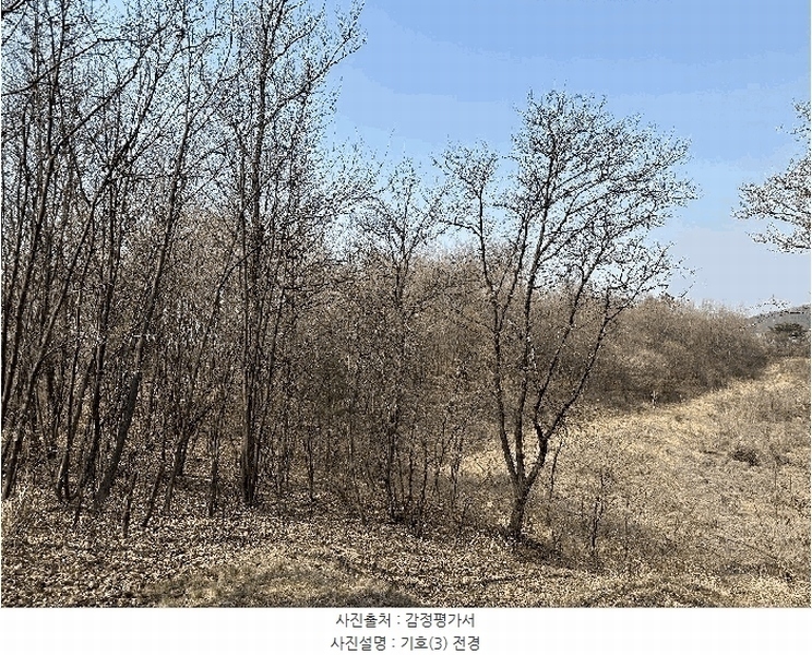 2025타경502006 세종특별자치시 부강면 산수리 216-4 임야 경매 이미지