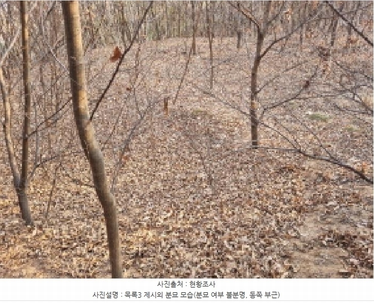 2025타경502006 세종특별자치시 부강면 산수리 216-4 임야 경매 이미지