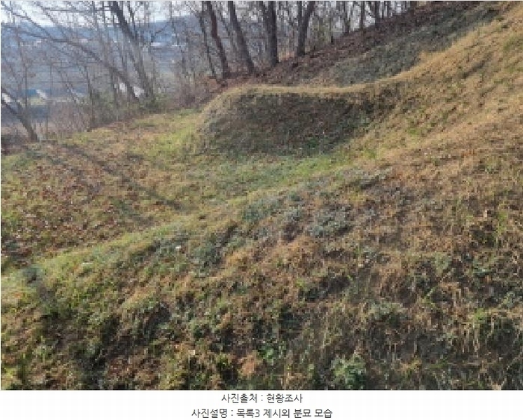 2025타경502006 세종특별자치시 부강면 산수리 216-4 임야 경매 이미지
