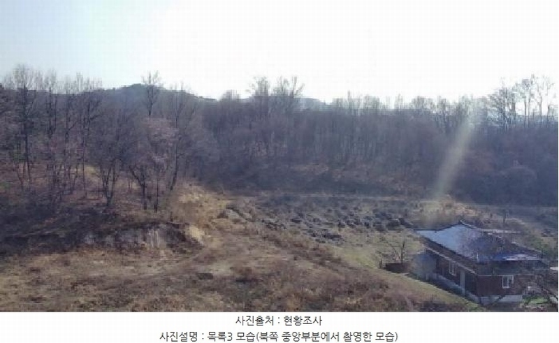 2025타경502006 세종특별자치시 부강면 산수리 216-4 임야 경매 이미지