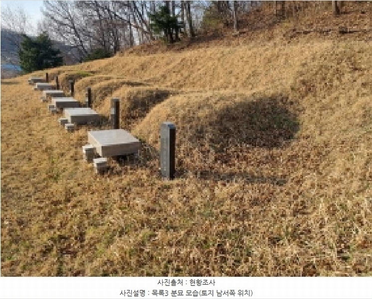 2025타경502006 세종특별자치시 부강면 산수리 216-4 임야 경매 이미지