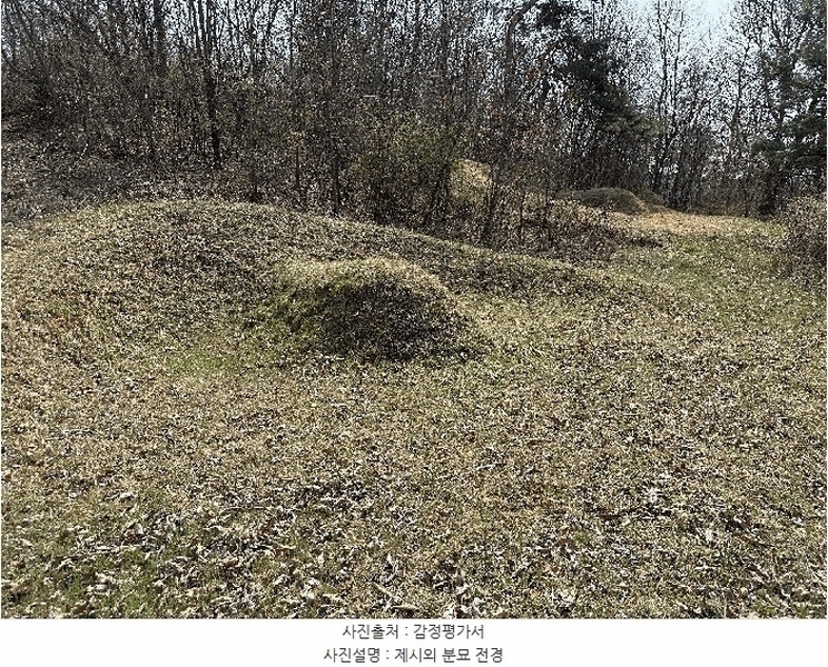 2025타경502006 세종특별자치시 부강면 산수리 216-4 임야 경매 이미지