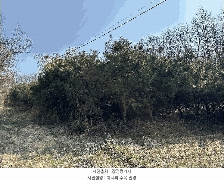 2025타경502006 세종특별자치시 부강면 산수리 216-4 임야 경매 이미지